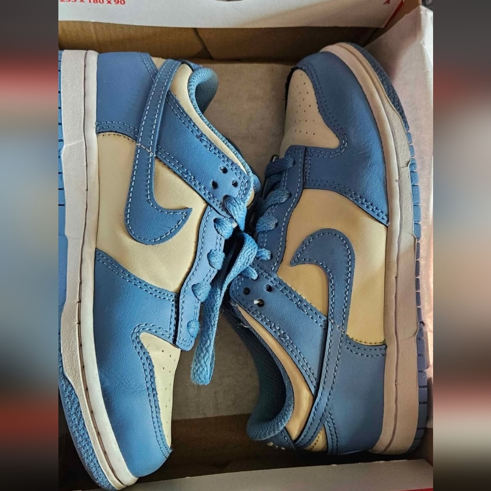 Kids  Dunks